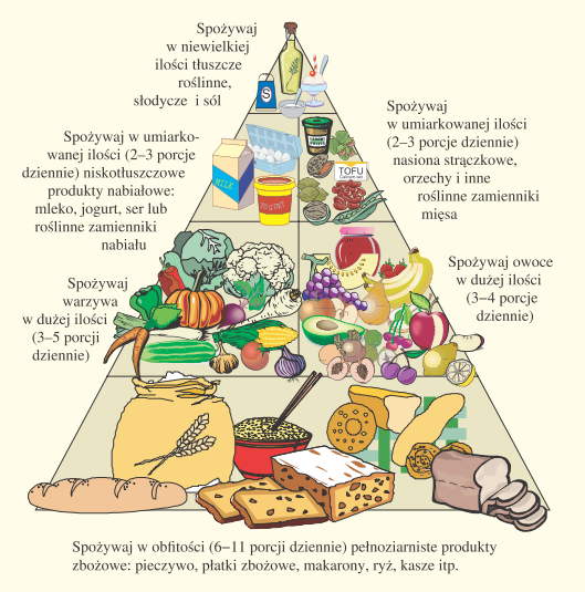 Dieta wegetariańska - piramida żywieniowa